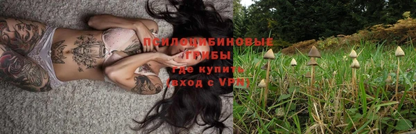 ГАЛЛЮЦИНОГЕННЫЕ ГРИБЫ Армянск