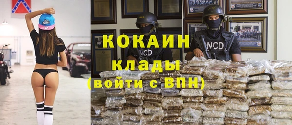 ГАЛЛЮЦИНОГЕННЫЕ ГРИБЫ Армянск