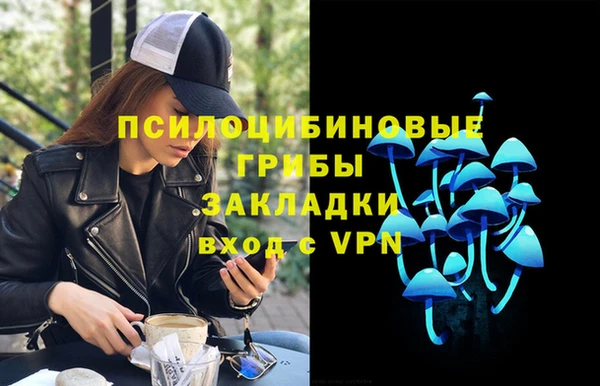 ГАЛЛЮЦИНОГЕННЫЕ ГРИБЫ Армянск