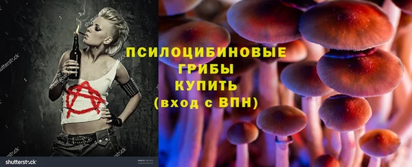 мдпв Арсеньев