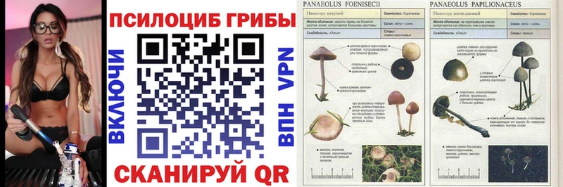 Псилоцибиновые грибы мицелий  Купить  Мариинский Посад 